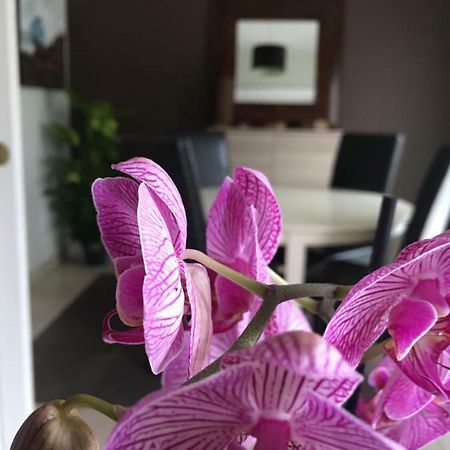 Nano House Apartment Bègles Екстериор снимка