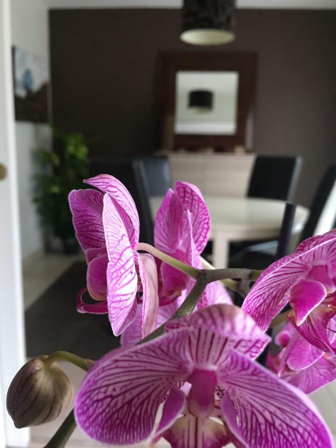 Nano House Apartment Bègles Екстериор снимка